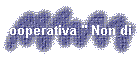 Cooperativa " Non di Solo Pane"